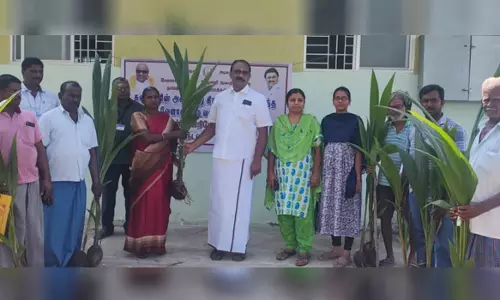 விவசாயிகளுக்கு தென்னங்கன்றுகள் விநியோகம்