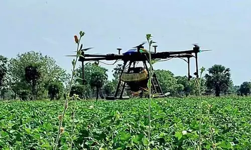 ட்ரோன் மூலம் பூச்சி மருந்து தெளித்தல்