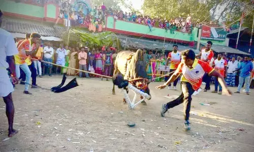 மாரண்டஅள்ளியில் எருது விடும் திருவிழா