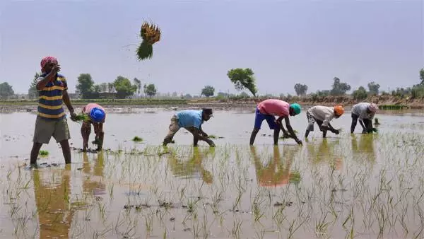 ஐ.நா. அறிவிப்பை ஆதரிக்கும் விதமாக மத்திய அரசு வேளாண்மைக்கு தனி பட்ஜெட்டை கொண்டு வர வேண்டும்-தமிழக ஏரி ஆற்றுப் பாசன விவசாயிகள் சங்கம் வலியுறுத்தல் ஐ.நா. அறிவிப்பை ஆதரிக்கும் விதமாக மத்திய அரசு வேளாண்மைக்கு தனி பட்ஜெட்டை கொண்டு வர வேண்டும்-தமிழக ஏரி ஆற்றுப் பாசன விவசாயிகள் சங்கம் வலியுறுத்தல்