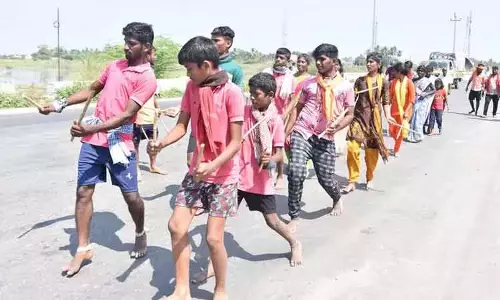 பழனி முருகன் கோவிலில் தைப்பூச திருவிழா