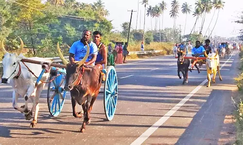 பென்னிகுக் பிறந்தநாள் விழாவை முன்னிட்டு கூடலூரில் 7 பிரிவுகளாக இரட்டை மாட்டுவண்டி பந்தயம்