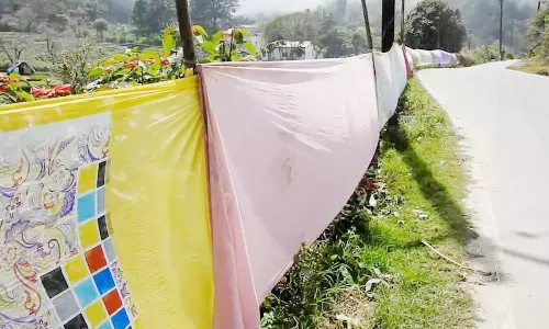 கொடைக்கானல் மலைப்பகுதியில் வன விலங்குகளிடம் இருந்து பயிர்களை பாதுகாக்க சேலை வேலி