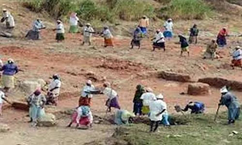 100 நாள் வேலை திட்டத்தில் குறைகளைத் தீர்க்க அதிகாரி நியமனம்