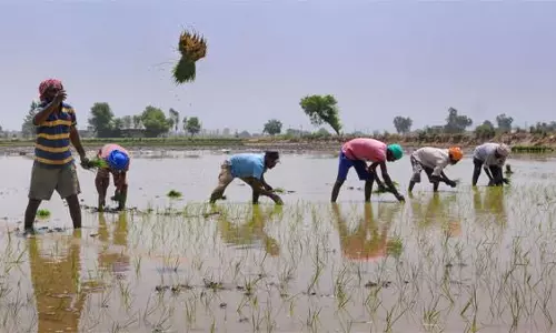 ஐ.நா. அறிவிப்பை ஆதரிக்கும் விதமாக மத்திய அரசு வேளாண்மைக்கு தனி பட்ஜெட்டை கொண்டு வர வேண்டும்-தமிழக ஏரி ஆற்றுப் பாசன விவசாயிகள் சங்கம் வலியுறுத்தல்