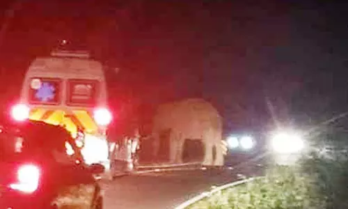 கூடலூர் அருகே நடுரோட்டில் வாகனங்களை வழிமறித்த ஒற்றை யானை