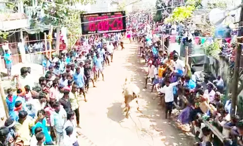செங்கம் ஜி.என்.பாளையத்தில் எருது விடும் விழா