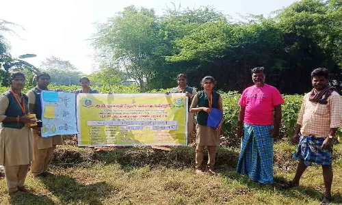 பூச்சிகளை கட்டுப்படுத்த விவசாயிகளுக்கு விழிப்புணர்வு