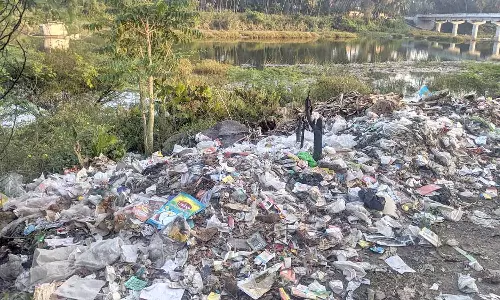 தென்பெண்ணை ஆற்றின் தடுப்பணையில் சுகாதார சீர்கேடு