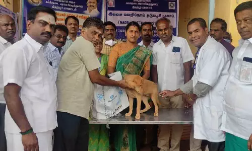 பல்லடத்தில் வெறிநாய் தடுப்பூசி முகாம்