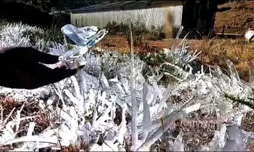 நடுங்க வைக்கும் உறைபனி- ஊட்டியில் 1.9 டிகிரி செல்சியஸ் வெப்பநிலை பதிவு