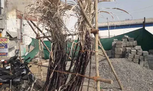 விற்பனை ஆகாததால் கரும்புகளை சாலையிலேயே போட்டுச்சென்ற விவசாயிகள்