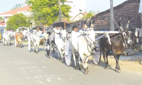 தை அமாவாசை வழிபாடு- அமணலிங்கேஸ்வரர் கோவிலுக்கு மாட்டு வண்டிகளில் அணிவகுத்து வந்த விவசாயிகள்