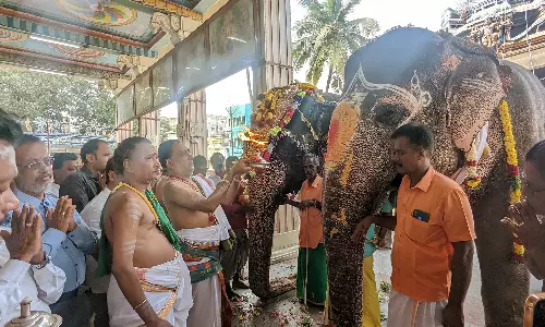 பழனி கோவில் கும்பாபிஷேகத்தை முன்னிட்டு இன்று கஜ பூஜை