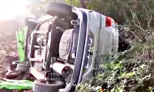 கார் கவிழ்ந்து விபத்தில் கணவன்-மனைவி உயிர் தப்பினர்