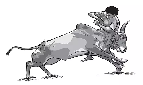 காளை முட்டியதில் வாலிபர் சாவு