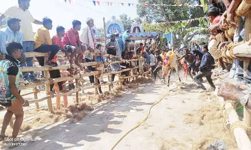 திருப்பத்தூர் மாவட்டத்தில் மாடு விடும் விழாவுக்கு தடை நீக்கம்