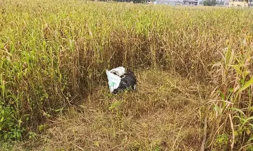 சின்னசேலம் அருகே   இரவில் சுற்றி திரியும் மர்ம விலங்கு- பொது மக்கள் அச்சம்