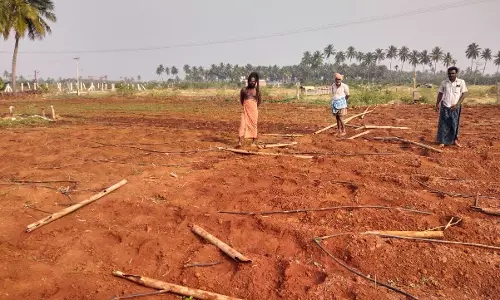 தோட்டத்திற்குள் புகுந்து காட்டு யானைகள் அட்டகாசம்