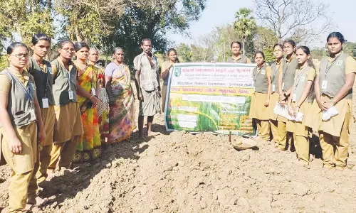மாணவிகள் சார்பில் விவசாயிகளுக்கு பயிற்சி முகாம்