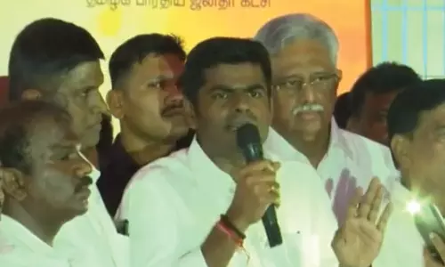 திருச்செந்தூர் கோவிலில் 5309 மாடுகளை காணவில்லை- அண்ணாமலை குற்றச்சாட்டு