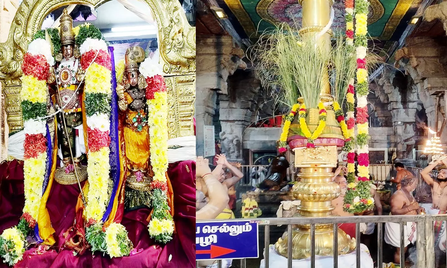 திருப்பரங்குன்றம் முருகன் கோவிலில் தெப்பத்திருவிழா கொடியேற்றத்துடன் தொடங்கியது