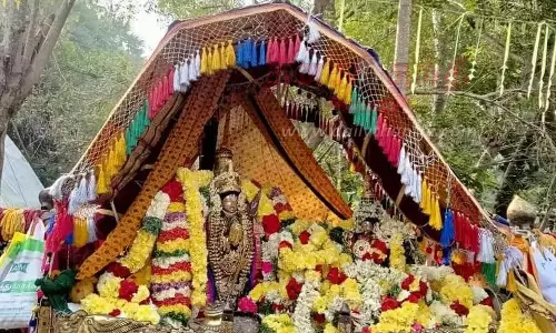 நாங்கூரில் இன்று 11 பெருமாள் கருட சேவை உற்சவத்தையொட்டி எழுந்தருளிய திருமங்கை ஆழ்வார்