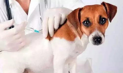 ஆலங்குளம் ஒன்றியத்தில்  இலவச வெறிநோய் தடுப்பூசி முகாம் -24-ந் தேதி நடக்கிறது