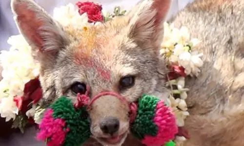 வங்காநரி ஜல்லிக்கட்டி நிகழ்ச்சியில் மோதல்: 4 பேர் கைது