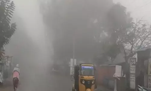 ஏற்காட்டில் கடும் குளிர், பனி மூட்டம்- ஸ்வெட்டர் விற்பனை மும்முரம்