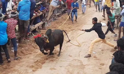 மாடு முட்டி வாலிபர் சாவு