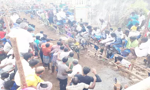 சந்தவாசலில் மாடு விடும் விழா