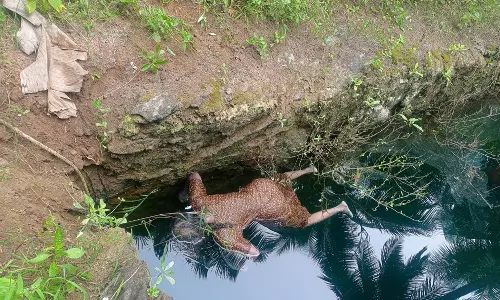 பெண் கிணற்றில் சடலமாக மீட்பு
