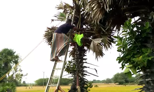 மின்சாரம் தாக்கி முதியவர் பலி