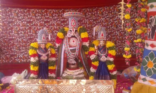 வரதராஜ பெருமாள்  கோவிலில் திருக்கல்யாணம்