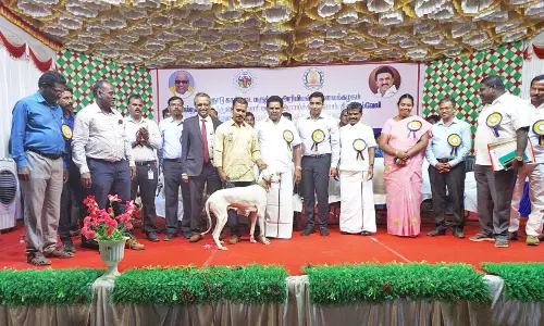 திருச்செந்தூரில் தேசிய அளவிலான நாய்கள் கண்காட்சி - அமைச்சர் அனிதா ராதாகிருஷ்ணன் பரிசு வழங்கினார்