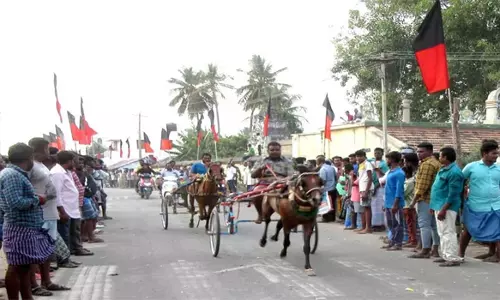 நாமக்கல் அருகே ரேக்ளா போட்டி