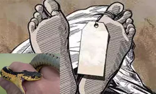 பாம்பு கடித்து கட்டிட மேஸ்திரி சாவு