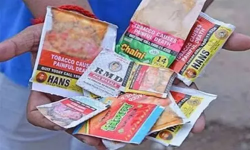 திருப்பத்தூரில் குட்கா விற்பனை செய்த 2 பேர் கைது