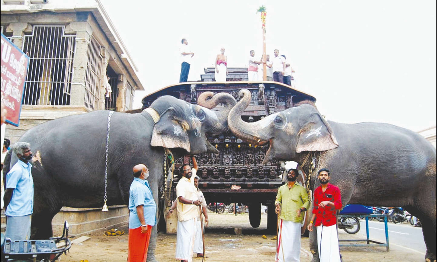 ஸ்ரீரங்கம் கோவிலில் தைத்தேர் திருவிழா முகூர்த்தக்கால் நடும் நிகழ்ச்சி