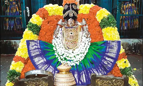 திருவந்திபுரம் தேவநாதசுவாமி கோவிலில் தாயார் உற்சவம்