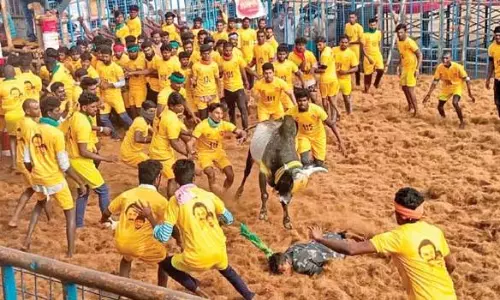 உலகம்பட்டி ஜல்லிக்கட்டில் சீறிப்பாய்ந்த காளைகள்- பார்வையாளர் உள்பட 15 பேர் படுகாயம்