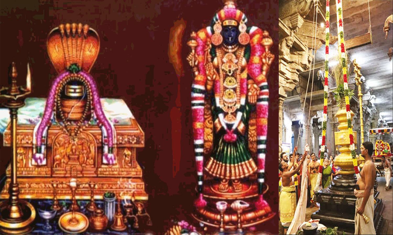 திருவானைக்காவல் கோவிலில் தை தெப்பத்திருவிழா கொடியேற்றத்துடன் தொடங்கியது