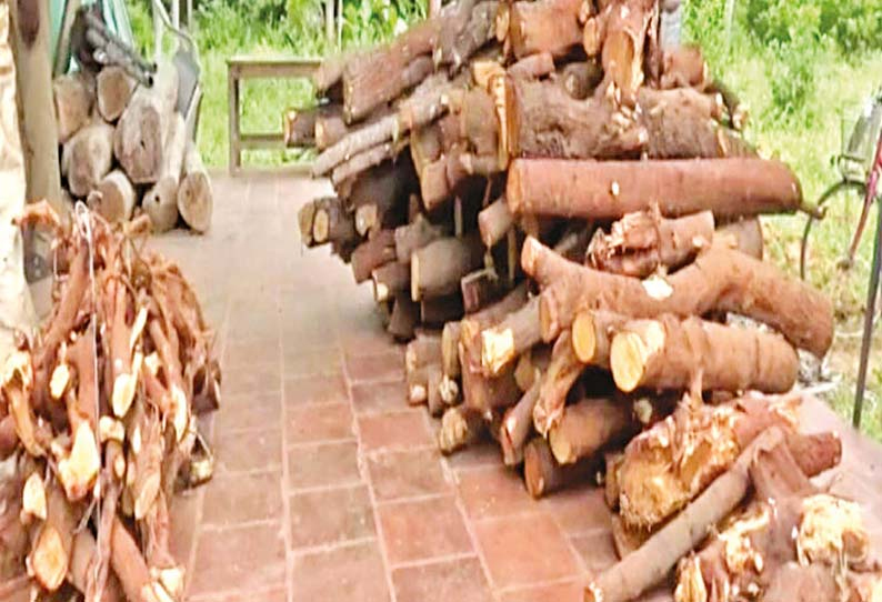 2 நாய்களை கொன்று சந்தன மரம் வெட்டி கடத்தல் Killing 2 dogs and cutting