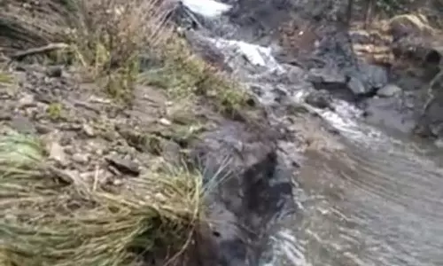 கொடைக்கானல் அருகே குளம் உடைந்து விவசாய நிலங்களில் புகுந்த நீர்