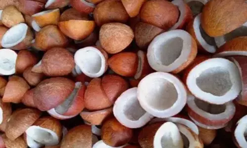 காங்கயம் ஒழுங்குமுறை விற்பனை கூடத்தில்  ரூ.45 ஆயிரத்துக்கு கொப்பரை விற்பனை