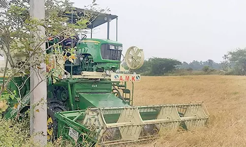 சம்பா அறுவடை பணிகள் மும்முரம்
