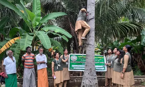 சிவகிரி அருகே  தென்னை மரம் ஏறும் கருவி குறித்து விவசாயிகளுக்கு செயல்விளக்கம்