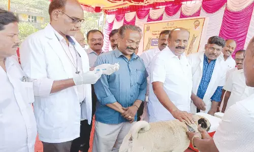 நோய் தடுப்பு விழிப்புணர்வு முகாம்
