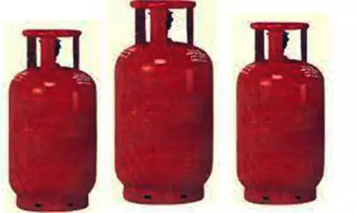 நெல்லை மாவட்ட எரிவாயு நுகர்வோர் குறைதீர்க்கும் கூட்டம்-31-ந் தேதி நடக்கிறது